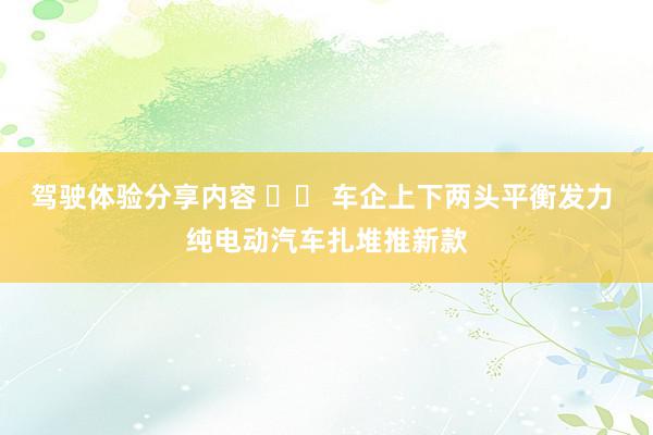 驾驶体验分享内容 		 车企上下两头平衡发力 纯电动汽车扎堆推新款