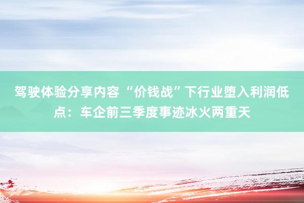 驾驶体验分享内容 “价钱战”下行业堕入利润低点：车企前三季度事迹冰火两重天