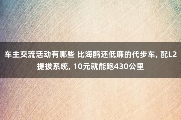 车主交流活动有哪些 比海鸥还低廉的代步车, 配L2提拔系统, 10元就能跑430公里