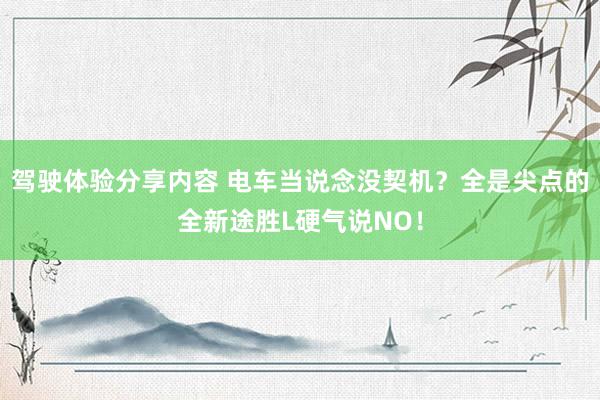 驾驶体验分享内容 电车当说念没契机？全是尖点的全新途胜L硬气说NO！