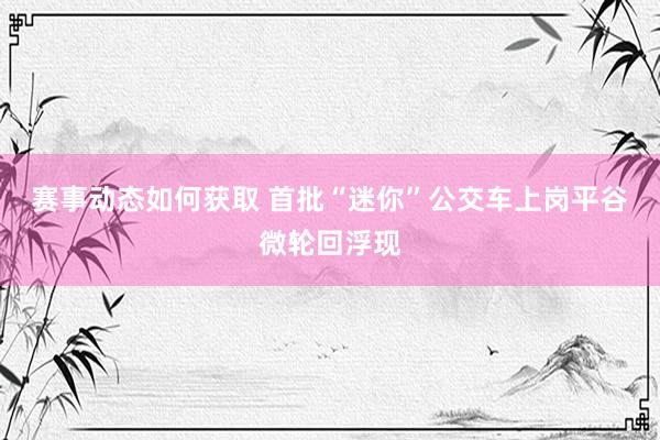 赛事动态如何获取 首批“迷你”公交车上岗平谷微轮回浮现