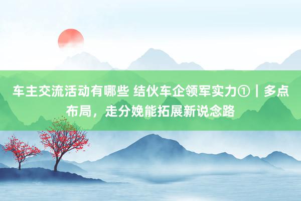 车主交流活动有哪些 结伙车企领军实力①｜多点布局，走分娩能拓展新说念路