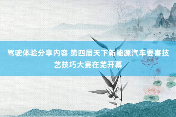 驾驶体验分享内容 第四届天下新能源汽车要害技艺技巧大赛在芜开幕