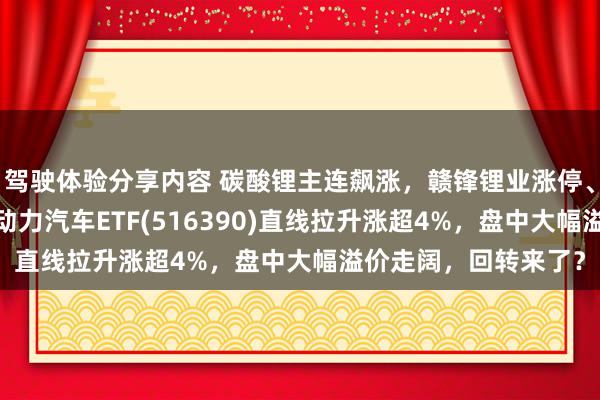 驾驶体验分享内容 碳酸锂主连飙涨，赣锋锂业涨停、宁德时间涨3%，新动力汽车ETF(516390)直线拉升涨超4%，盘中大幅溢价走阔，回转来了？