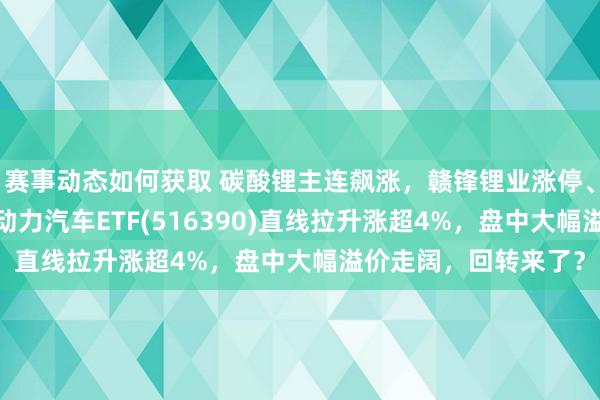 赛事动态如何获取 碳酸锂主连飙涨，赣锋锂业涨停、宁德时间涨3%，新动力汽车ETF(516390)直线拉升涨超4%，盘中大幅溢价走阔，回转来了？