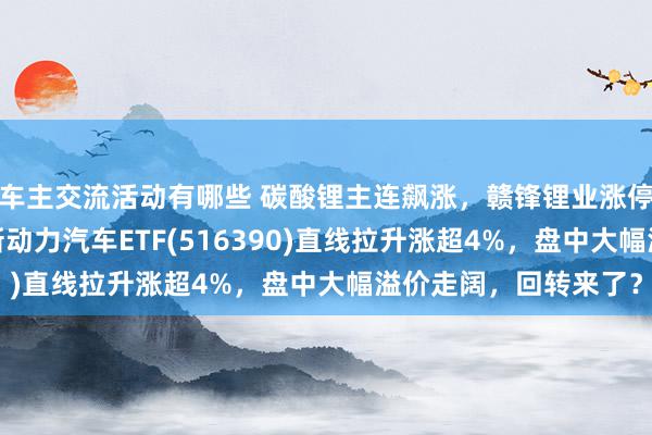 车主交流活动有哪些 碳酸锂主连飙涨，赣锋锂业涨停、宁德期间涨3%，新动力汽车ETF(516390)直线拉升涨超4%，盘中大幅溢价走阔，回转来了？