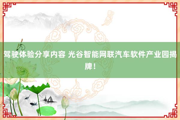 驾驶体验分享内容 光谷智能网联汽车软件产业园揭牌！