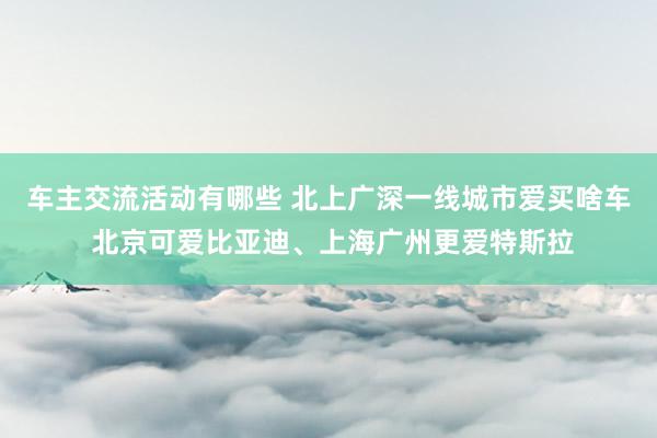 车主交流活动有哪些 北上广深一线城市爱买啥车 北京可爱比亚迪、上海广州更爱特斯拉