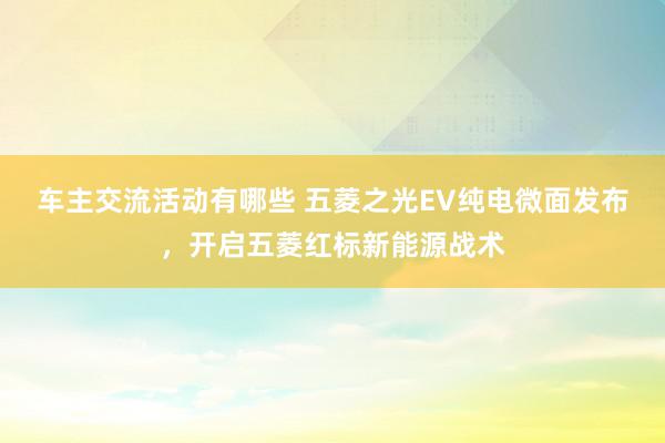 车主交流活动有哪些 五菱之光EV纯电微面发布，开启五菱红标新能源战术