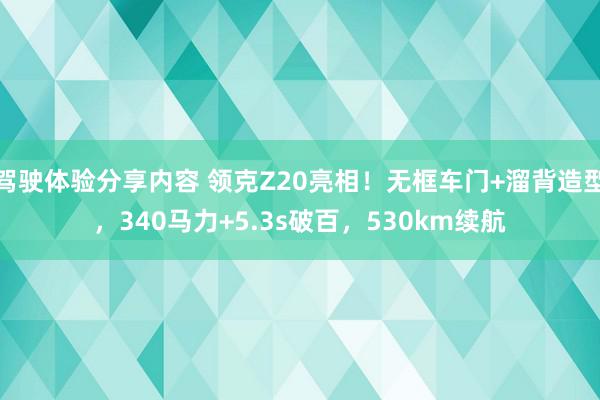 驾驶体验分享内容 领克Z20亮相！无框车门+溜背造型，340马力+5.3s破百，530km续航