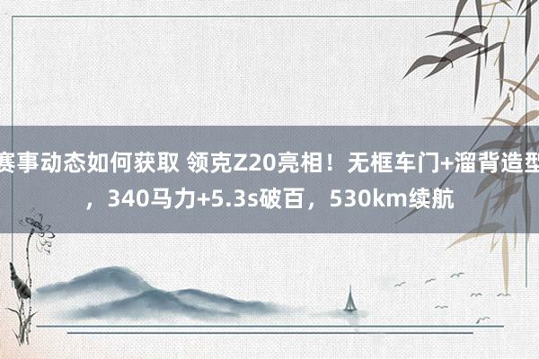 赛事动态如何获取 领克Z20亮相！无框车门+溜背造型，340马力+5.3s破百，530km续航