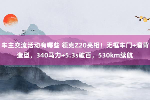 车主交流活动有哪些 领克Z20亮相！无框车门+溜背造型，340马力+5.3s破百，530km续航