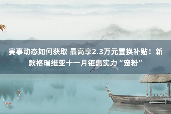 赛事动态如何获取 最高享2.3万元置换补贴！新款格瑞维亚十一月钜惠实力“宠粉”