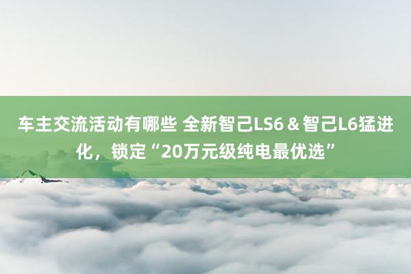 车主交流活动有哪些 全新智己LS6＆智己L6猛进化，锁定“20万元级纯电最优选”