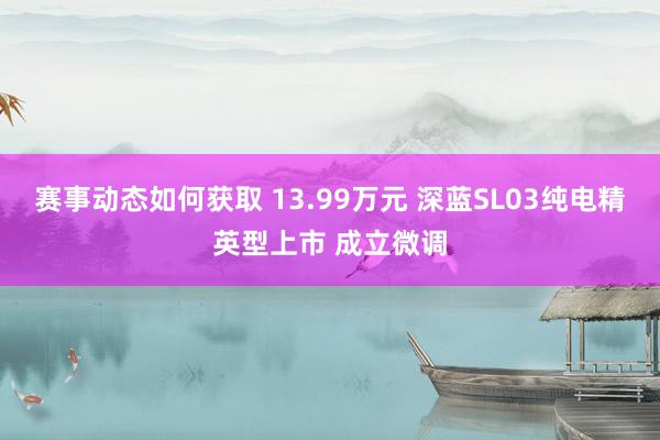 赛事动态如何获取 13.99万元 深蓝SL03纯电精英型上市 成立微调