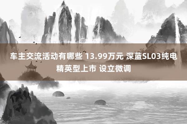 车主交流活动有哪些 13.99万元 深蓝SL03纯电精英型上市 设立微调