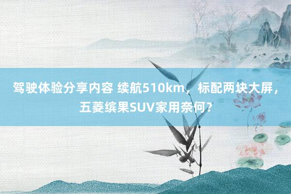 驾驶体验分享内容 续航510km，标配两块大屏，五菱缤果SUV家用奈何？