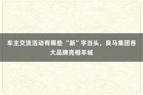 车主交流活动有哪些 “新”字当头，良马集团各大品牌亮相羊城