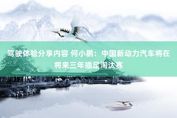 驾驶体验分享内容 何小鹏：中国新动力汽车将在将来三年插足淘汰赛