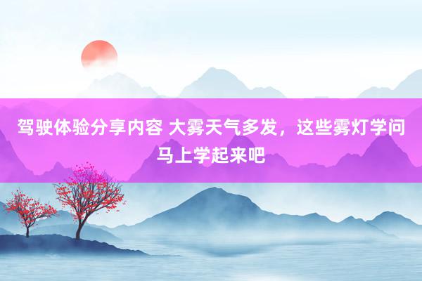 驾驶体验分享内容 大雾天气多发，这些雾灯学问马上学起来吧