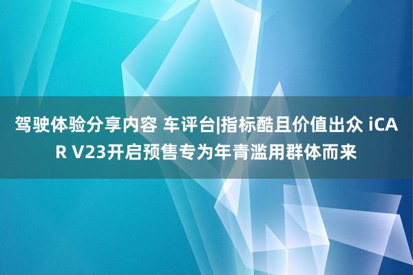 驾驶体验分享内容 车评台|指标酷且价值出众 iCAR V23开启预售专为年青滥用群体而来