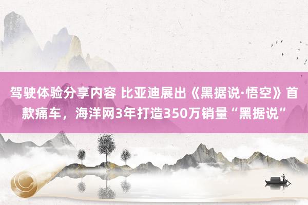 驾驶体验分享内容 比亚迪展出《黑据说·悟空》首款痛车，海洋网3年打造350万销量“黑据说”