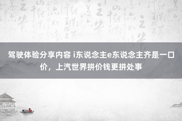 驾驶体验分享内容 i东说念主e东说念主齐是一口价，上汽世界拼价钱更拼处事