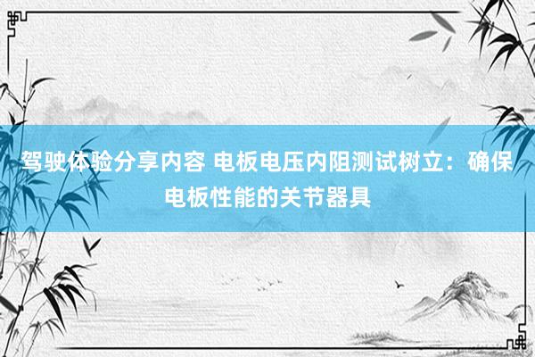 驾驶体验分享内容 电板电压内阻测试树立：确保电板性能的关节器具