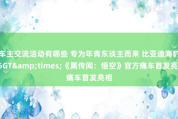 车主交流活动有哪些 专为年青东谈主而来 比亚迪海豹06GT&times;《黑传闻：悟空》官方痛车首发亮相