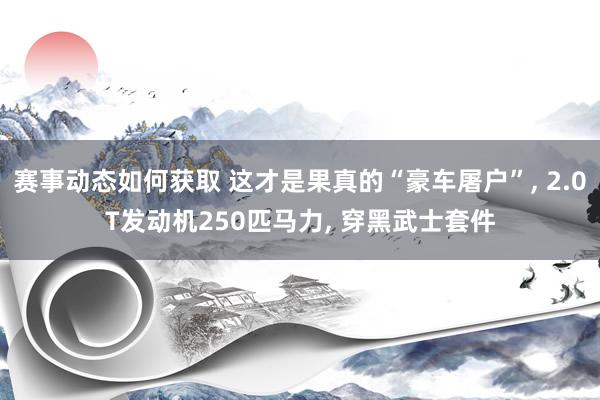 赛事动态如何获取 这才是果真的“豪车屠户”, 2.0T发动机250匹马力, 穿黑武士套件