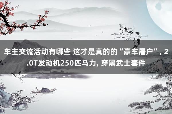 车主交流活动有哪些 这才是真的的“豪车屠户”, 2.0T发动机250匹马力, 穿黑武士套件