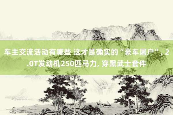 车主交流活动有哪些 这才是确实的“豪车屠户”, 2.0T发动机250匹马力, 穿黑武士套件