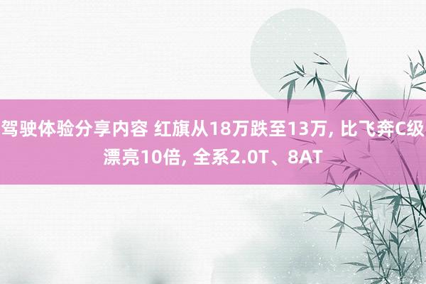 驾驶体验分享内容 红旗从18万跌至13万, 比飞奔C级漂亮10倍, 全系2.0T、8AT