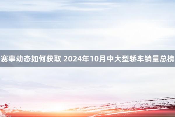 赛事动态如何获取 2024年10月中大型轿车销量总榜