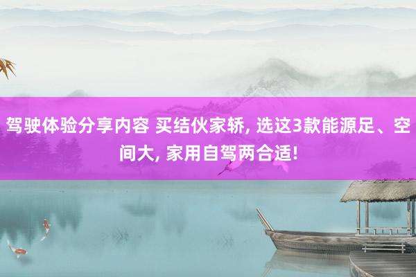 驾驶体验分享内容 买结伙家轿, 选这3款能源足、空间大, 家用自驾两合适!