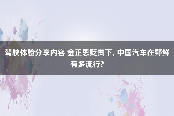 驾驶体验分享内容 金正恩贬责下, 中国汽车在野鲜有多流行?