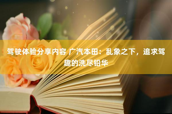 驾驶体验分享内容 广汽本田：乱象之下，追求驾趣的洗尽铅华