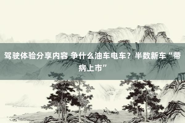 驾驶体验分享内容 争什么油车电车？半数新车“带病上市”