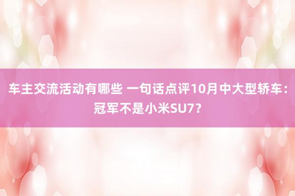 车主交流活动有哪些 一句话点评10月中大型轿车：冠军不是小米SU7？