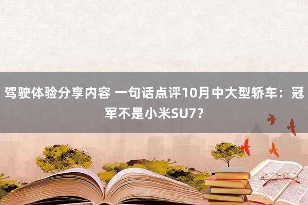 驾驶体验分享内容 一句话点评10月中大型轿车：冠军不是小米SU7？