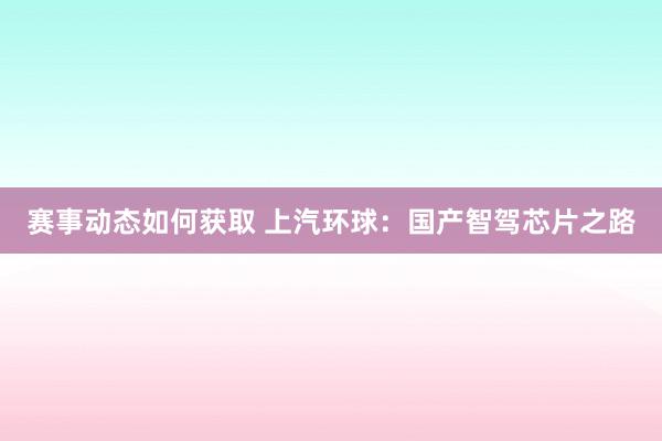 赛事动态如何获取 上汽环球：国产智驾芯片之路