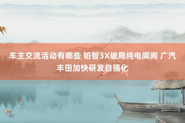 车主交流活动有哪些 铂智3X破局纯电阛阓 广汽丰田加快研发自强化